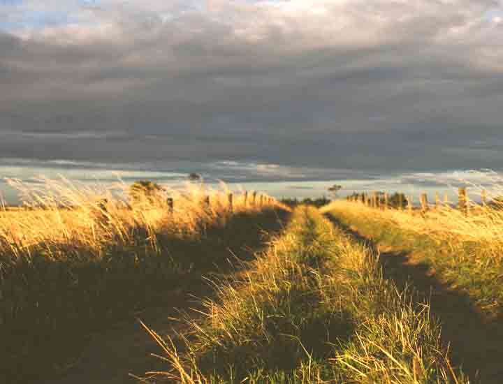 推荐个便宜的短信轰炸网页版
